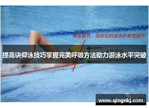 提高诀仰泳技巧掌握完美呼吸方法助力游泳水平突破 提高诀仰泳技巧掌握完美呼吸方法助力游泳水平突破